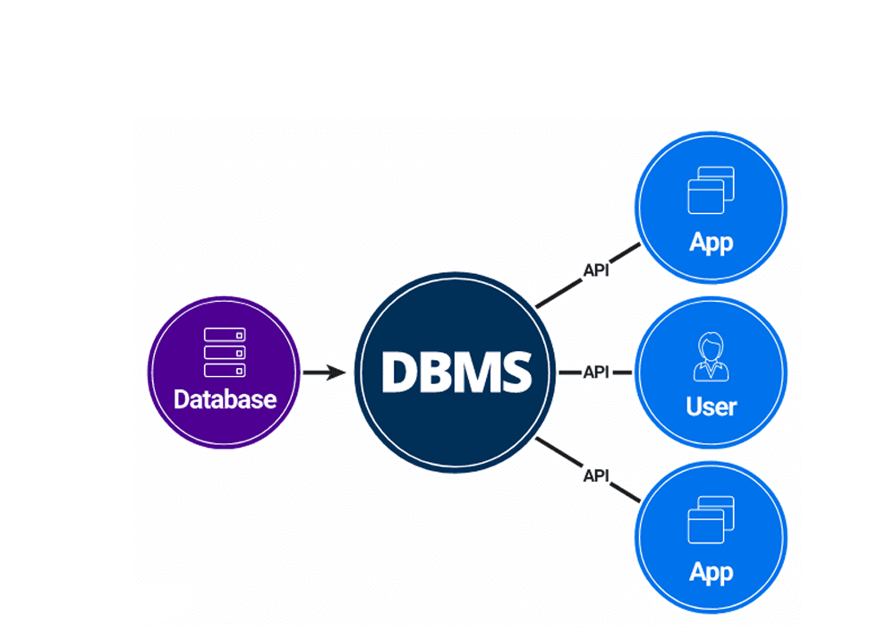 DBMS Diagram showing Database, DBMS software, and Users/Apps interaction